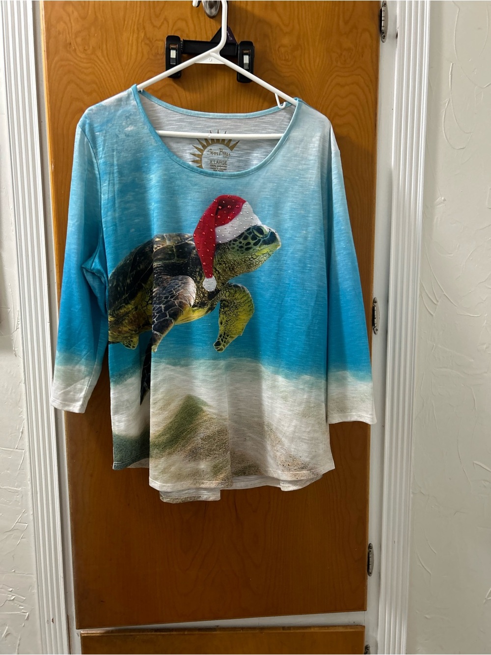 Santa hat Sea Turtle Graphic Long Sleeve Top - Blue